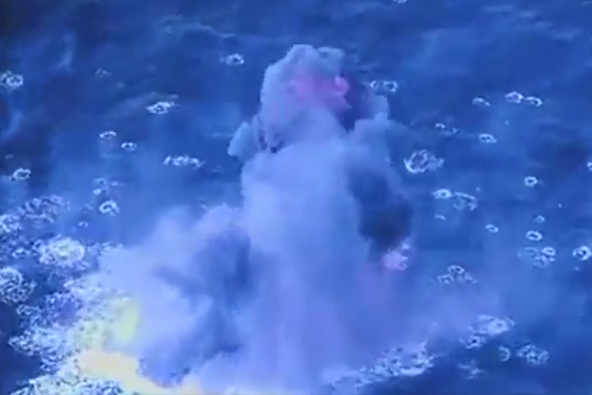 EE.UU. hunde otra supuesta narcolancha cerca de Venezuela; hay cuatro muertos